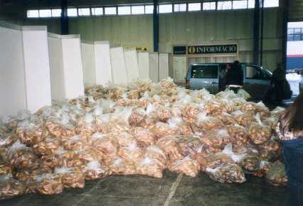 Brot