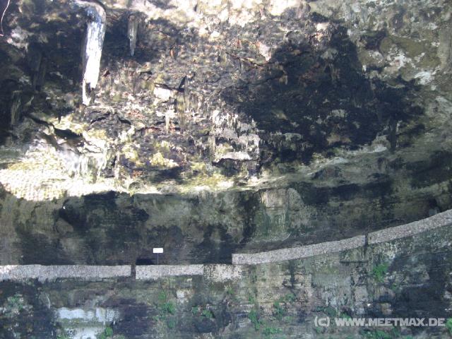 255 Cenote Zaci