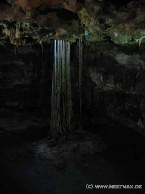 301 Cenote Samula