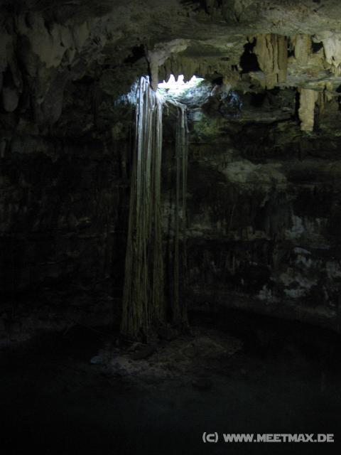311 Cenote Samula