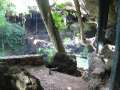 249 Cenote Zaci