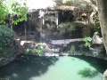 250 Cenote Zaci