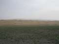 0793_Khangorin_Els