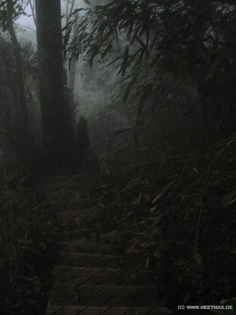 0872_Stairs