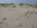 9537_Aral_Sea_desert