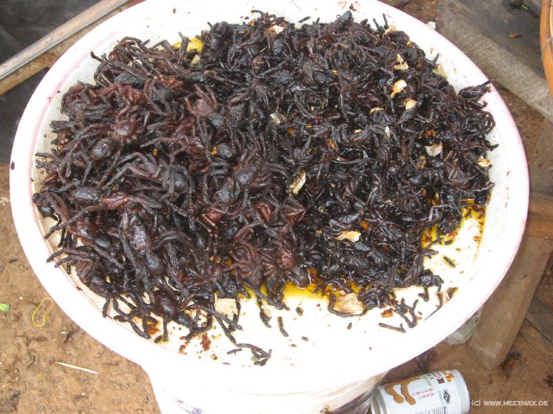 1544_Fried_Spiders