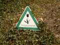 37 Gesch�tze Gr�nanlage