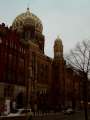 51 Neue Synagoge 2