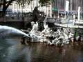 60 K� Springbrunnen