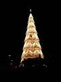 25 Weihnachtsbaum