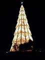 26 Weihnachtsbaum