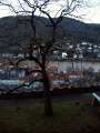 27 Ausblick mit Baum
