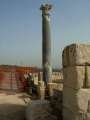 24 S�ule