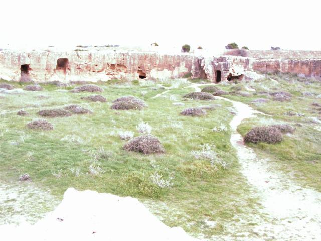 20 Tal der K�nige