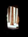 41 S�ulen