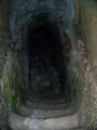 49 Tomb