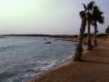 04 Coral Beach