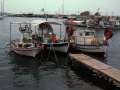 25 Boote