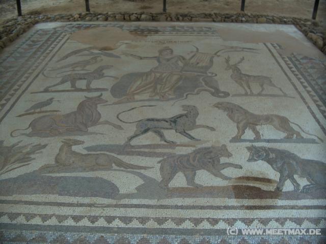 46 Mosaik