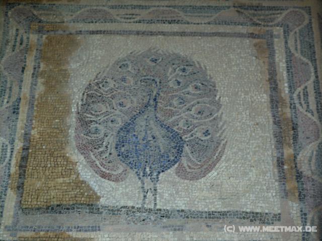 54 Mosaik