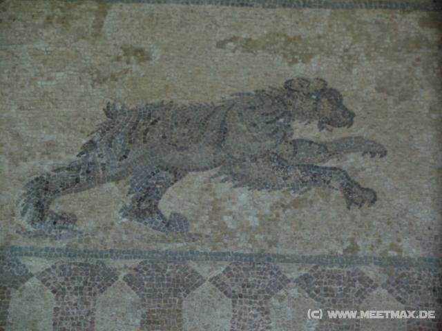 55  Mosaik-B�r