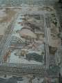 41 Mosaik