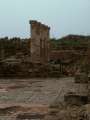 42 S�ulen