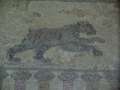 55  Mosaik-B�r