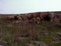 83 Felsen