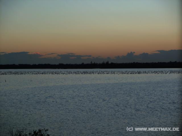 36 Salzsee