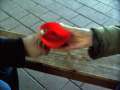 218 Sch�lchen