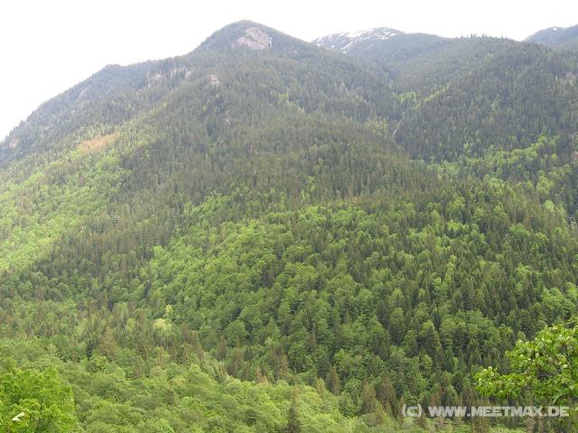 334 Gr�ne Berge