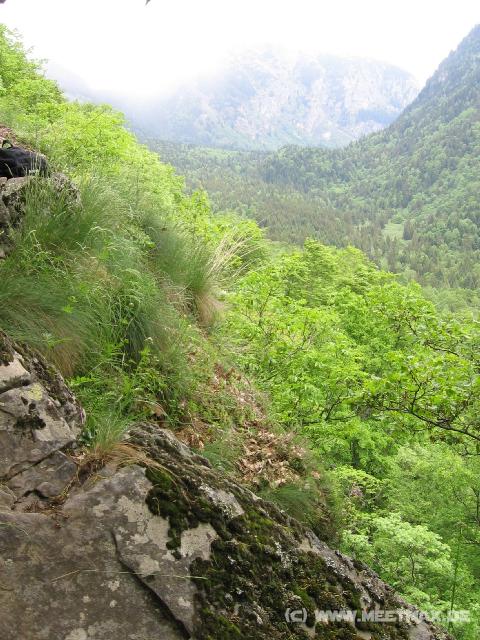 337 Steilwand