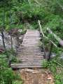 321 Br�cke