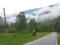 356 Wolken