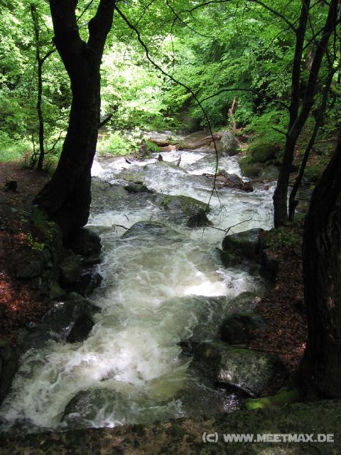 374 Bach