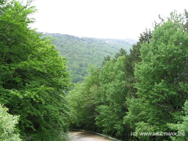 386 Wald