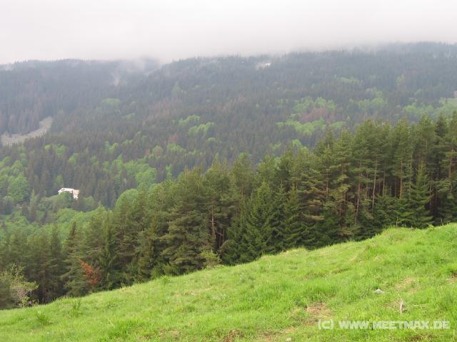 391 Wald-Ausblick