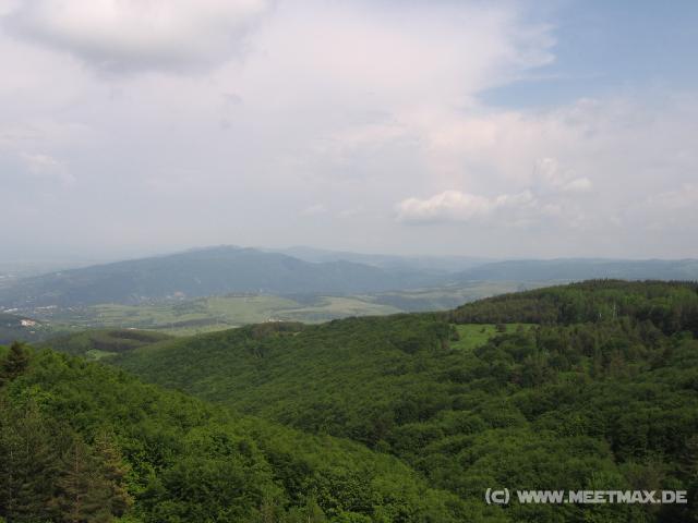 407 Wald