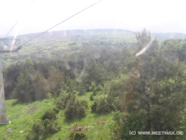 408 Wald