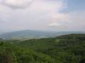407 Wald