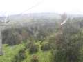 408 Wald