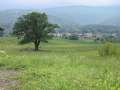 417 Berge