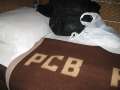 435 Nachtzug PCB-verseucht