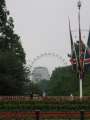 490 London Eye