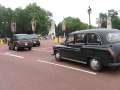 491 Taxis