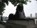 531 Sphinx