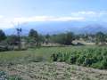 48 Windm�hlen