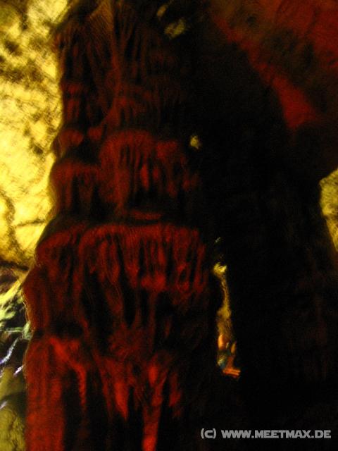 95 Dikteon