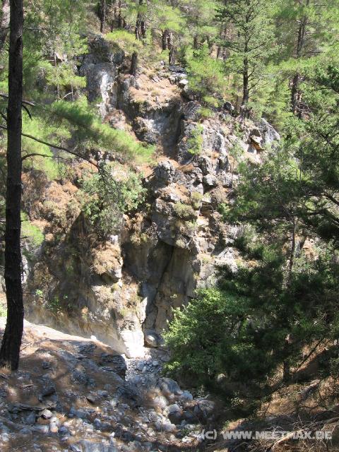 225 Wald
